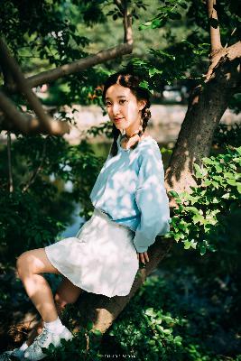 树下有片红房子电视剧免费观看全集